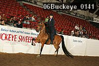 06buckeye_0141 proof