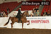 06buckeye_0142 proof