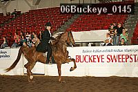 06buckeye_0145 proof