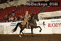 06buckeye_0146 proof