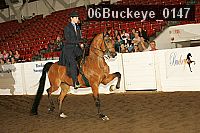 06buckeye_0147 proof