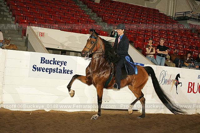 Proof 06buckeye_0148