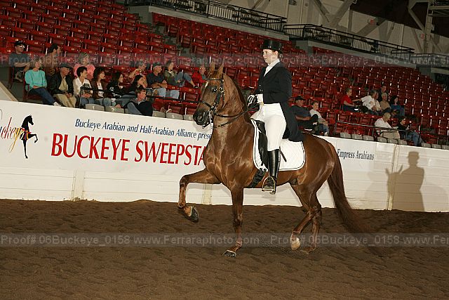 Proof 06buckeye_0158