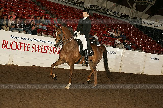 Proof 06buckeye_0161