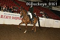 06buckeye_0161 proof