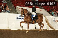 06buckeye_0162 proof
