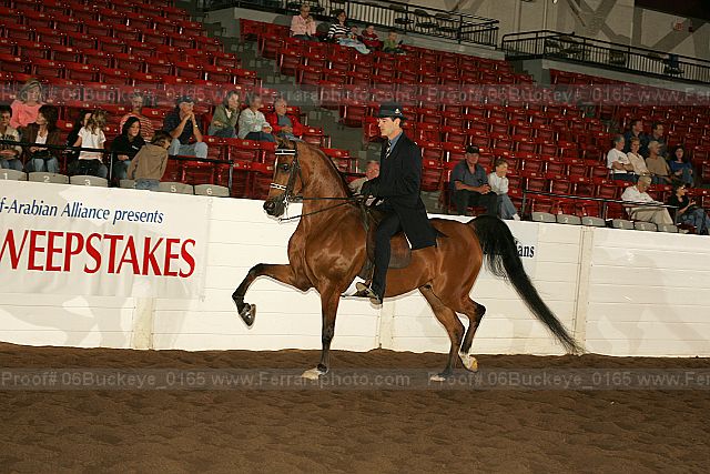 Proof 06buckeye_0165