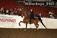06buckeye_0165 proof