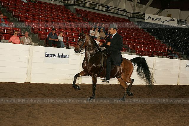 Proof 06buckeye_0166