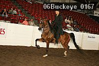06buckeye_0167 proof