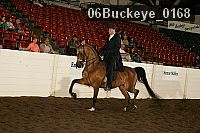 06buckeye_0168 proof