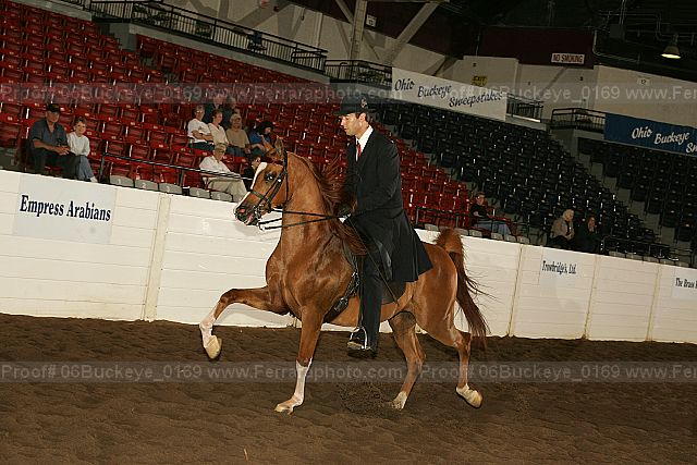 Proof 06buckeye_0169