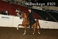 06buckeye_0169 proof