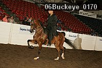 06buckeye_0170 proof