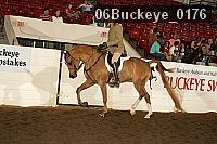 06buckeye_0176 proof