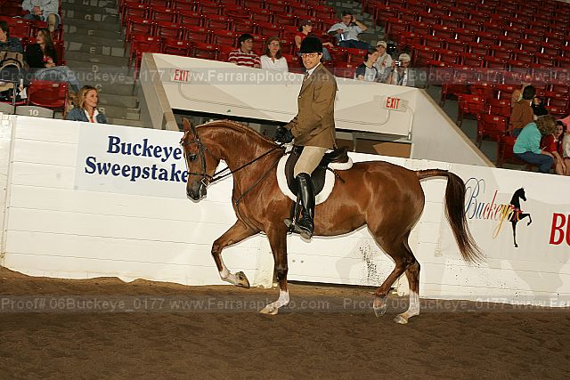 Proof 06buckeye_0177