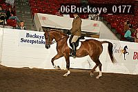 06buckeye_0177 proof