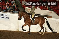 06buckeye_0180 proof
