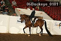 06buckeye_0181 proof