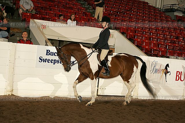 Proof 06buckeye_0184