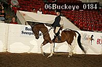 06buckeye_0184 proof