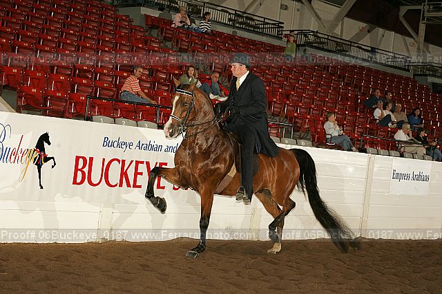 Proof 06buckeye_0187