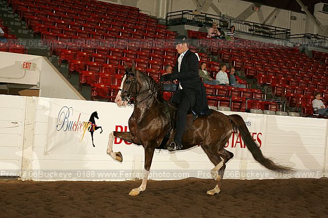 Proof 06buckeye_0188