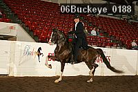 06buckeye_0188 proof
