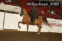 06buckeye_0189 proof