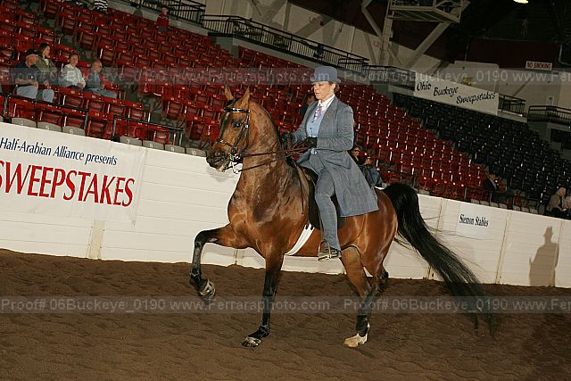 Proof 06buckeye_0190