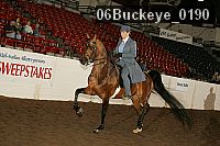06buckeye_0190 proof