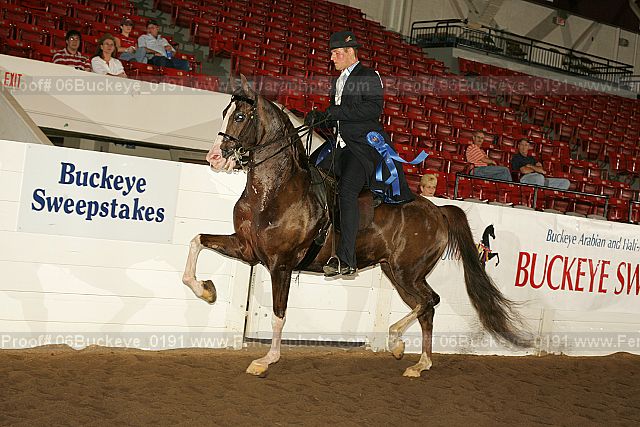 Proof 06buckeye_0191