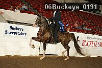 06buckeye_0191 proof