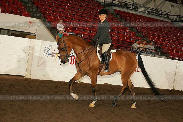 Proof 06buckeye_0202
