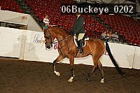 06buckeye_0202 proof