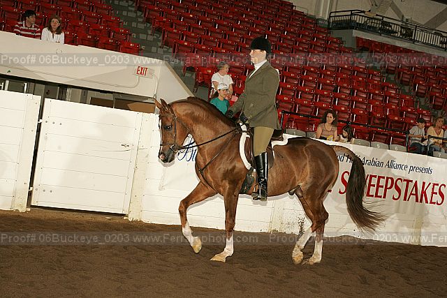 Proof 06buckeye_0203