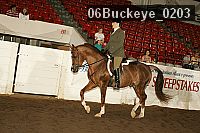 06buckeye_0203 proof