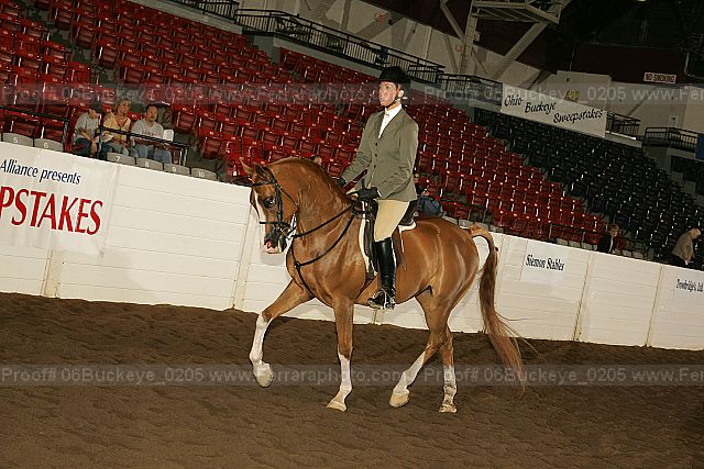 Proof 06buckeye_0205