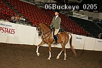 06buckeye_0205 proof