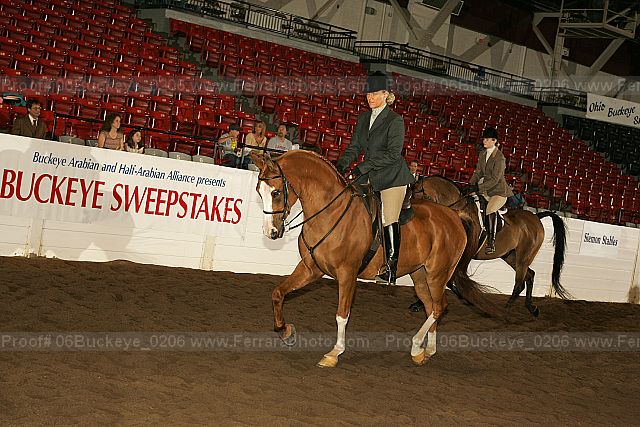 Proof 06buckeye_0206