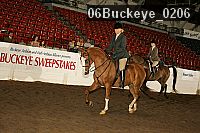 06buckeye_0206 proof