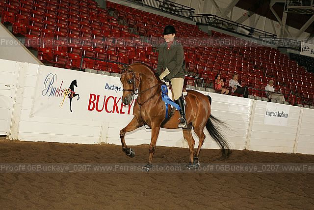 Proof 06buckeye_0207