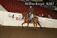 06buckeye_0207 proof