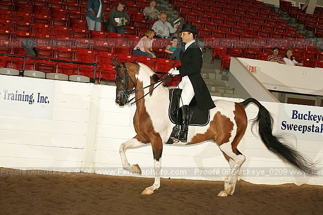 Proof 06buckeye_0209