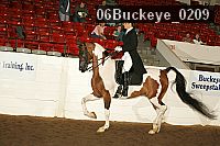 06buckeye_0209 proof