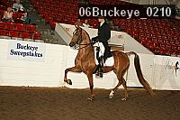 06buckeye_0210 proof