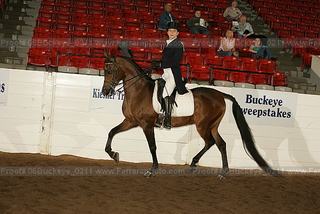 Proof 06buckeye_0211