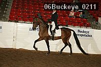 06buckeye_0211 proof