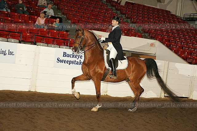 Proof 06buckeye_0212