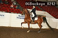 06buckeye_0212 proof
